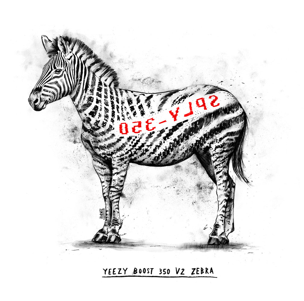 Hype Kicks - Kornel Illustration | Kornel Stadler portfolio