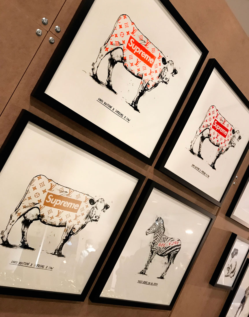 Hypecow - Kornel Illustration | Kornel Stadler portfolio