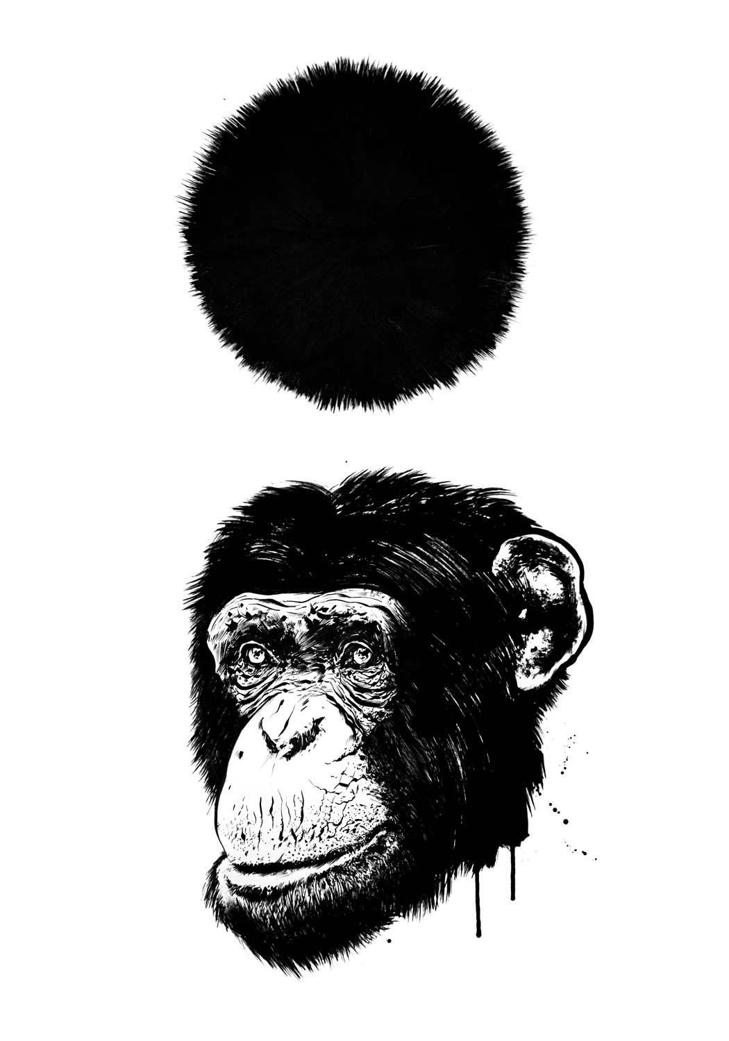 Ape - Kornel Illustration | Kornel Stadler portfolio