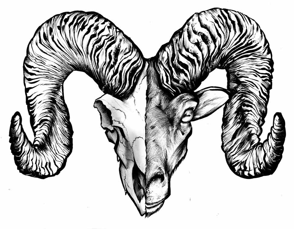 Two Face Aries - Kornel Illustration | Kornel Stadler portfolio